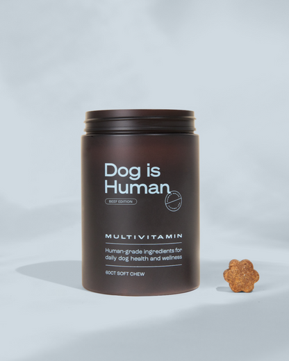 Dog is Human DM-01 The Daily Multivitamin - Human-Grade Dog Vitamins & Supplements - All-in-One Chew with Probiotics, CoQ10, Essential Vitamins for All Breeds & Ages